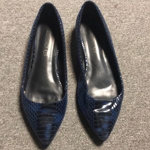 A pair of Blue flat shoes